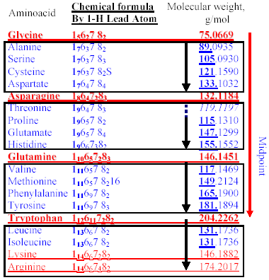 New Order of Chemical Formulas: The Amino Acids