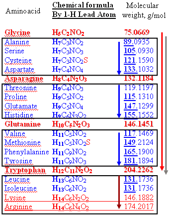 Chemical formula amino acid