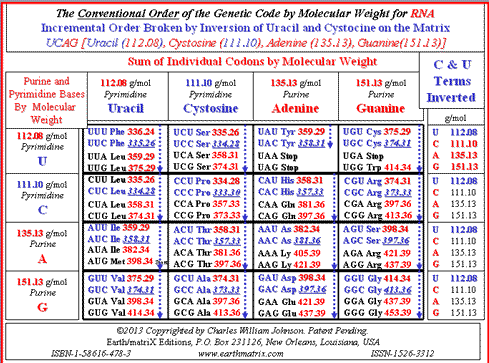 Incremental Order Broken by Inversion of Uracil and Cystocine on the Matrix