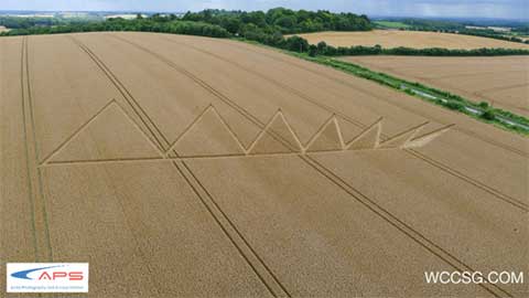 Crop circle 