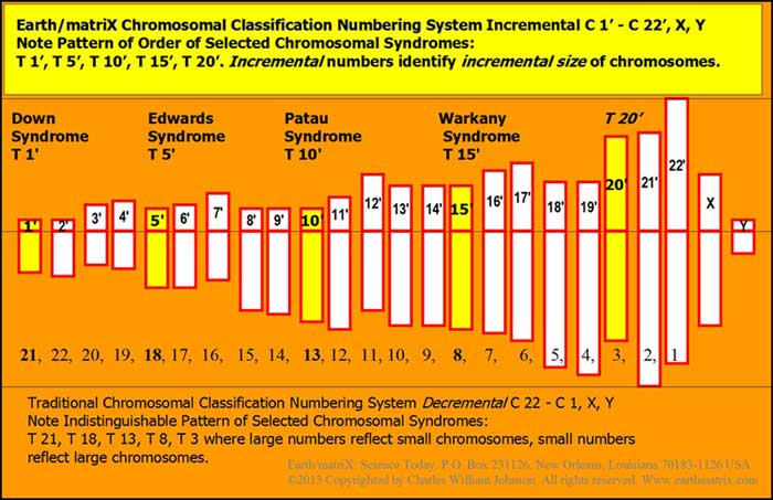 Place Chromosome 21, Trisomy 21 in their rightful place as the smallest chromosome known.